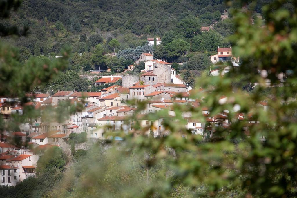 Hotel La Pinède à Amélie-les-Bains-Palalda Chambre photo